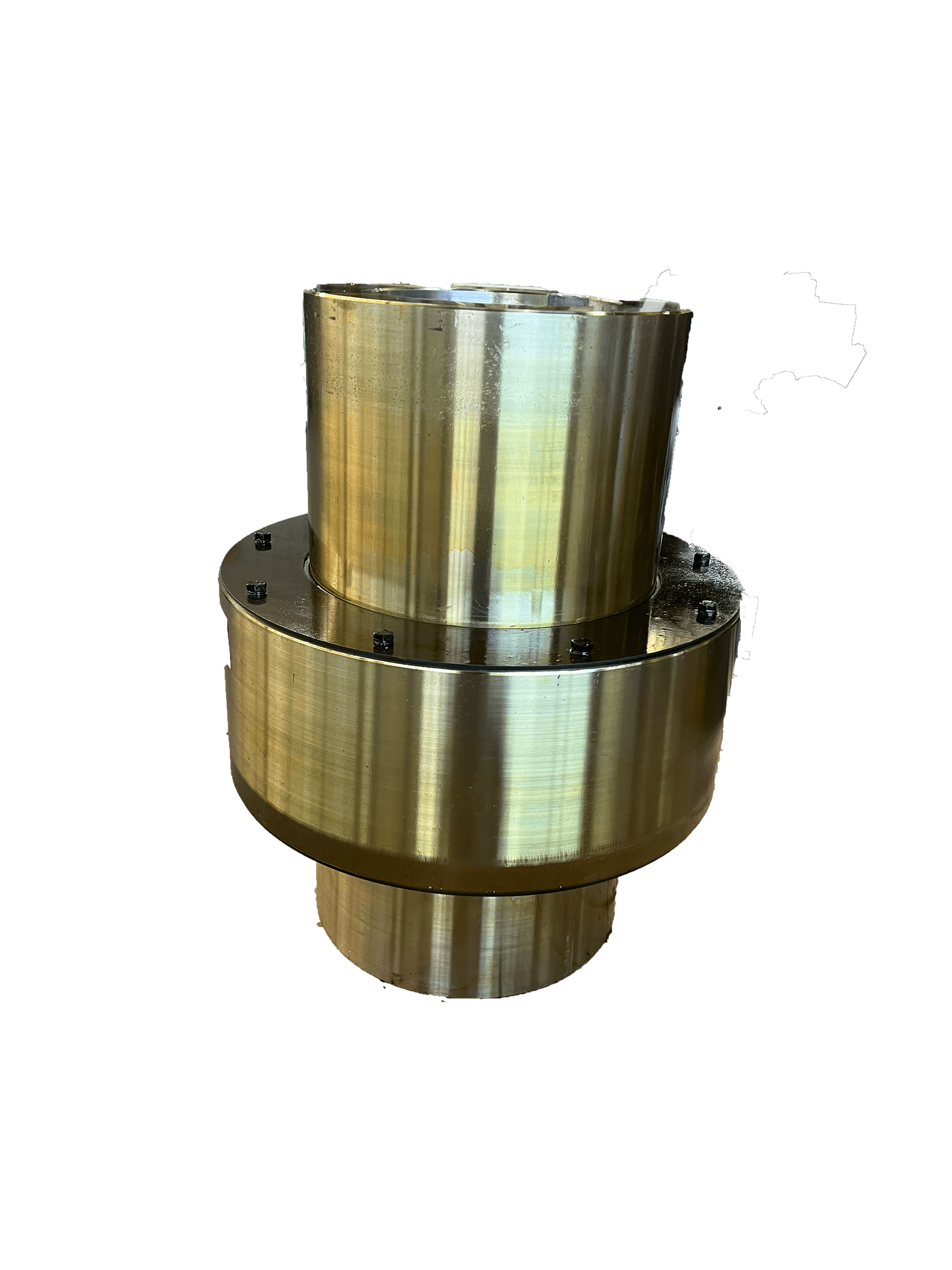Pin Gear Coupling